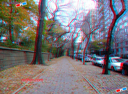 New York Central Park Anaglyph 3D Photography