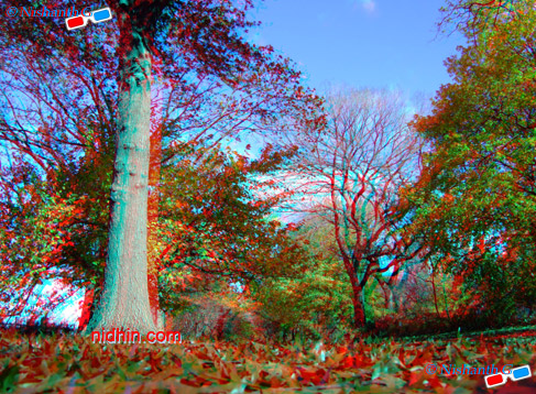 New York Central Park Anaglyph 3D Photography
