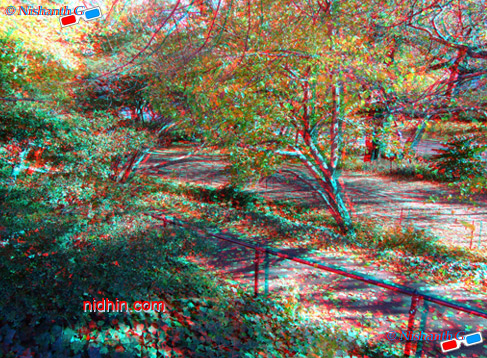 New York Central Park Anaglyph 3D Photography
