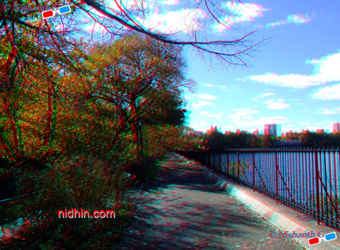 New York Central Park Anaglyph 3D Photography