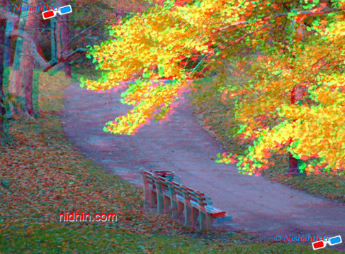 New York Central Park Anaglyph 3D Photography
