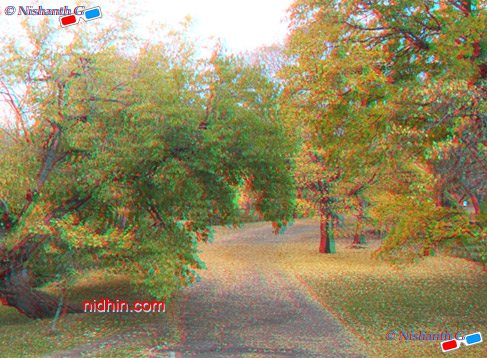 New York Central Park Anaglyph 3D Photography