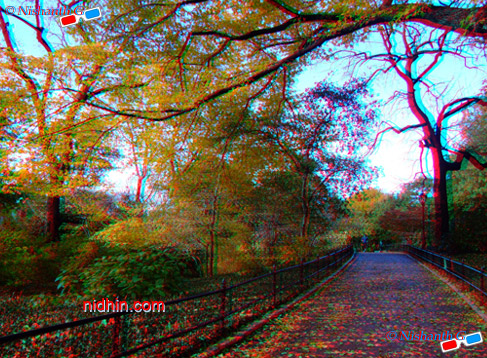 New York Central Park Anaglyph 3D Photography