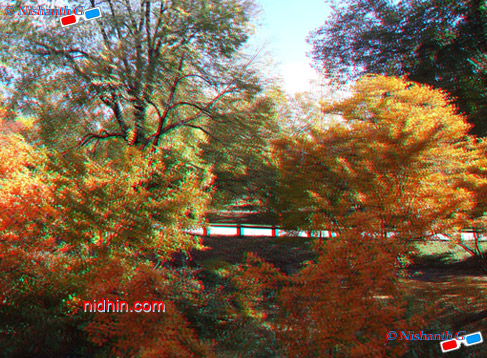 New York Central Park Anaglyph 3D Photography