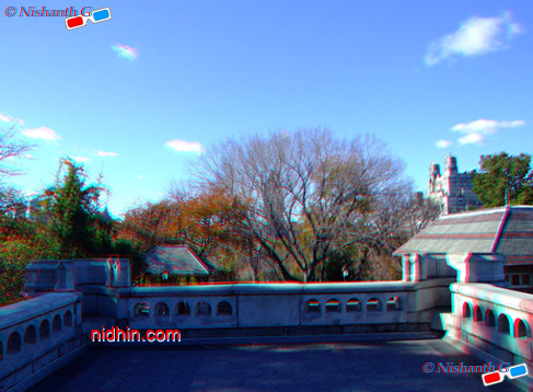 New York Central Park Anaglyph 3D Photography