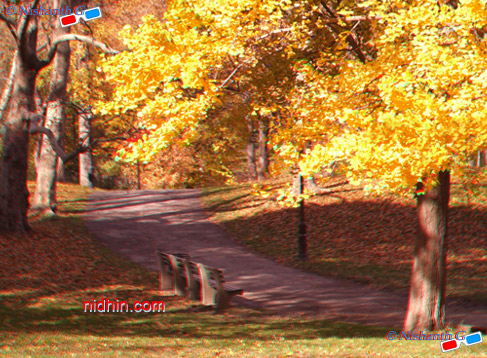 New York Central Park Anaglyph 3D Photography