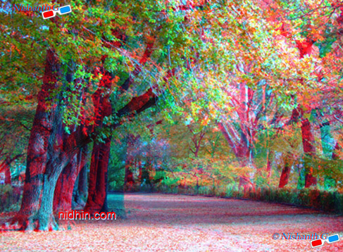 New York Central Park Anaglyph 3D Photography
