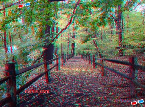 New York Botanical Garden Anaglyph 3D Photography