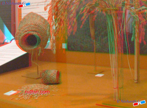 New York Botanical Garden Anaglyph 3D Photography