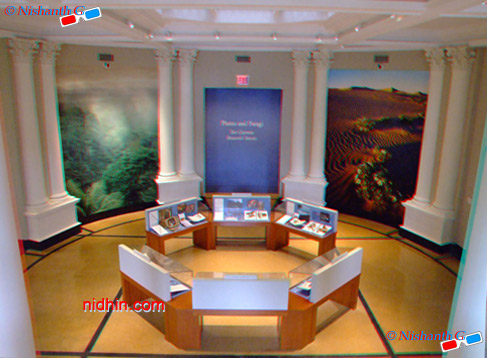 New York Botanical Garden Anaglyph 3D Photography