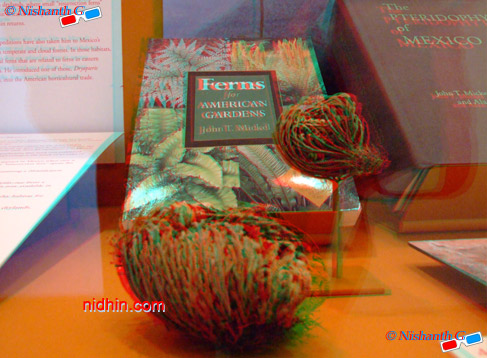 New York Botanical Garden Anaglyph 3D Photography