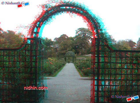 New York Botanical Garden Anaglyph 3D Photography