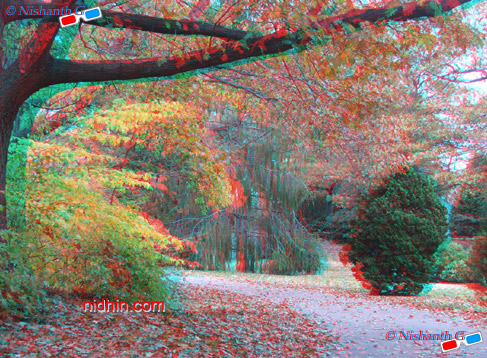 New York Botanical Garden Anaglyph 3D Photography
