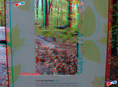 New York Botanical Garden Anaglyph 3D Photography
