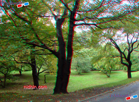 New York Botanical Garden Anaglyph 3D Photography