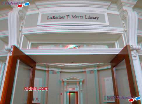 New York Botanical Garden Anaglyph 3D Photography