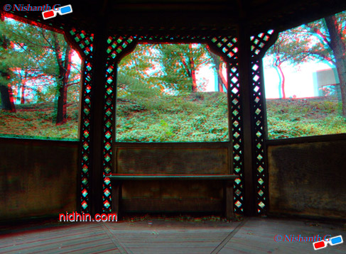 New York Botanical Garden Anaglyph 3D Photography