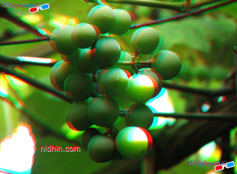 3D Objects Photography
