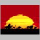 lion_king-800.jpg