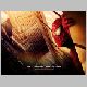 spiderman-spider-man-toby-mcguire.jpg