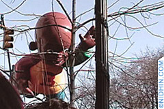 macys day parade