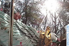 macys day parade