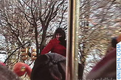 macys day parade
