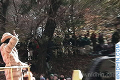 macys day parade