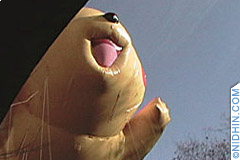 macys day parade