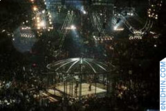 WWE Superstar