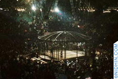 WWE Superstar
