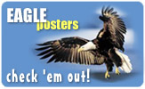 American Bald Eagle Posters