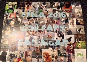 SPNA Dog Park calendar